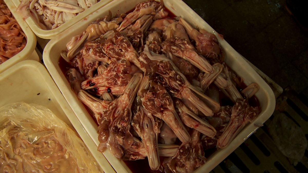 Answer: duck tongues and jaws                  
